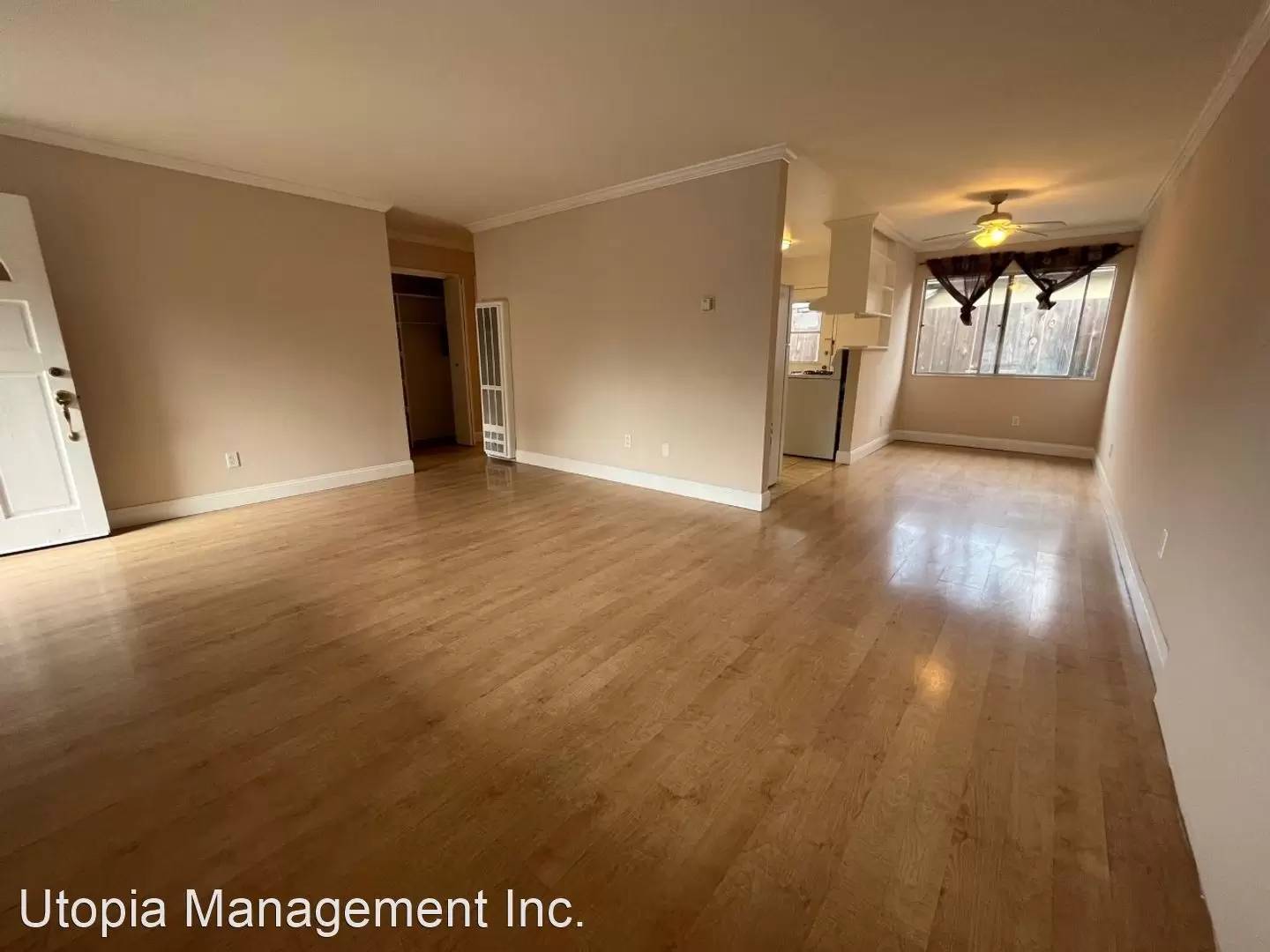 cover background