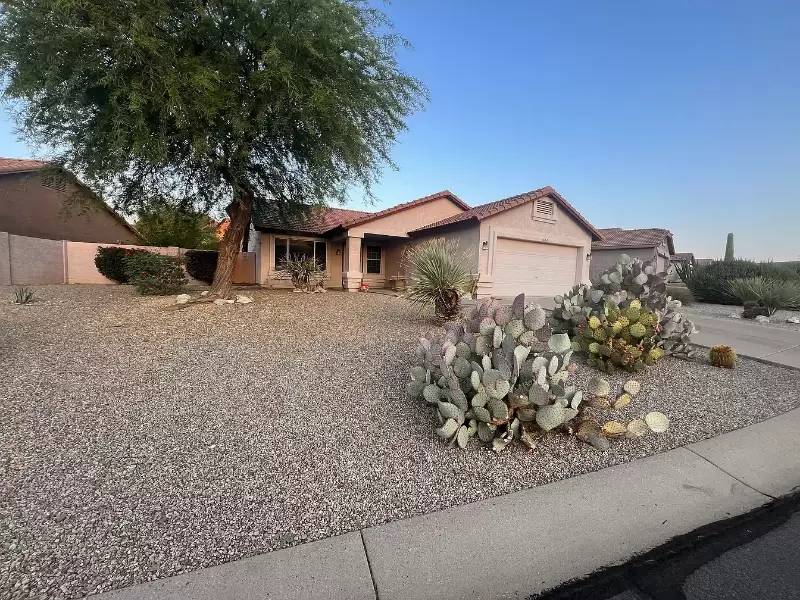 cover background