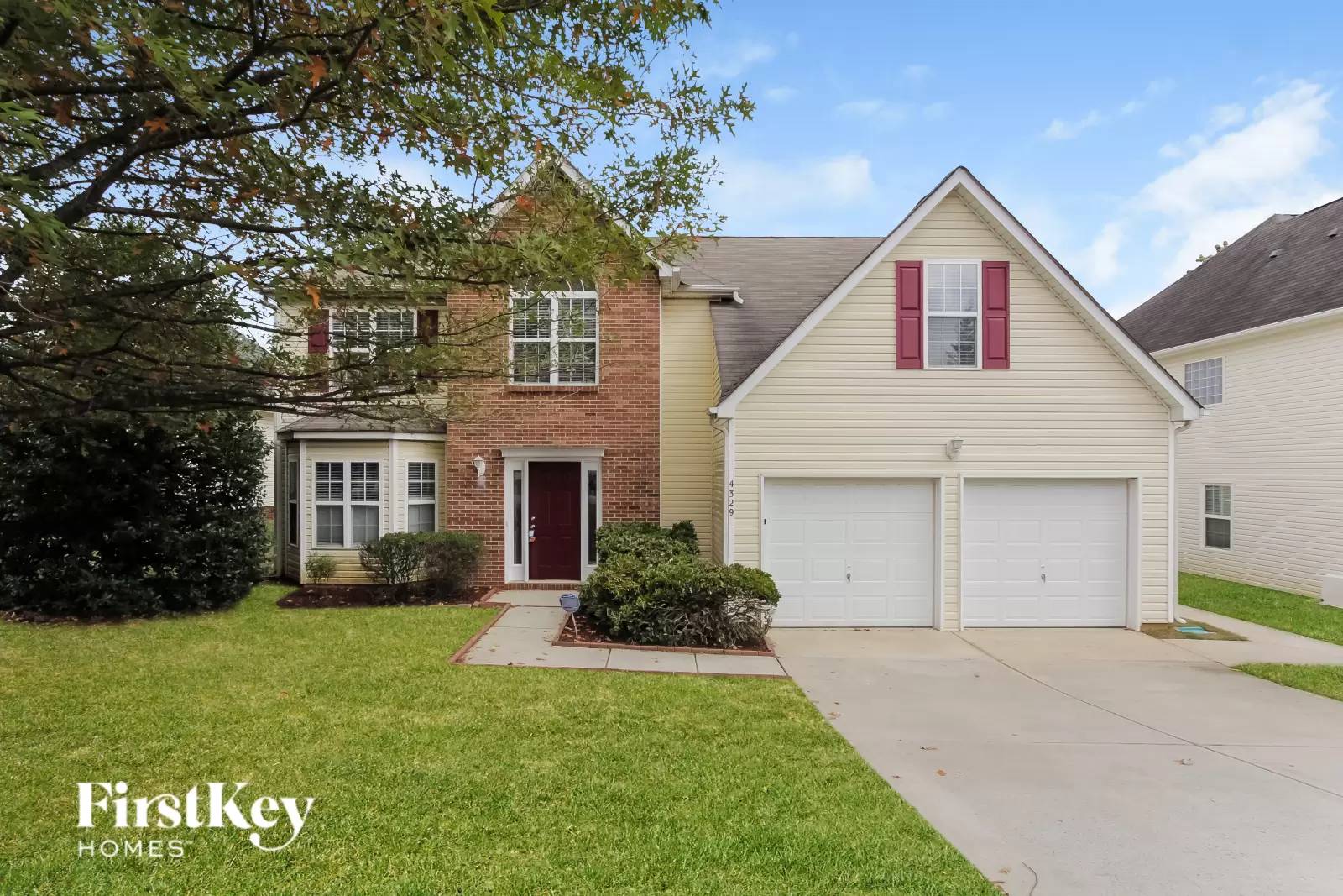 cover background