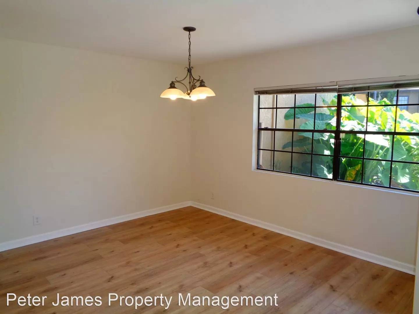 cover background