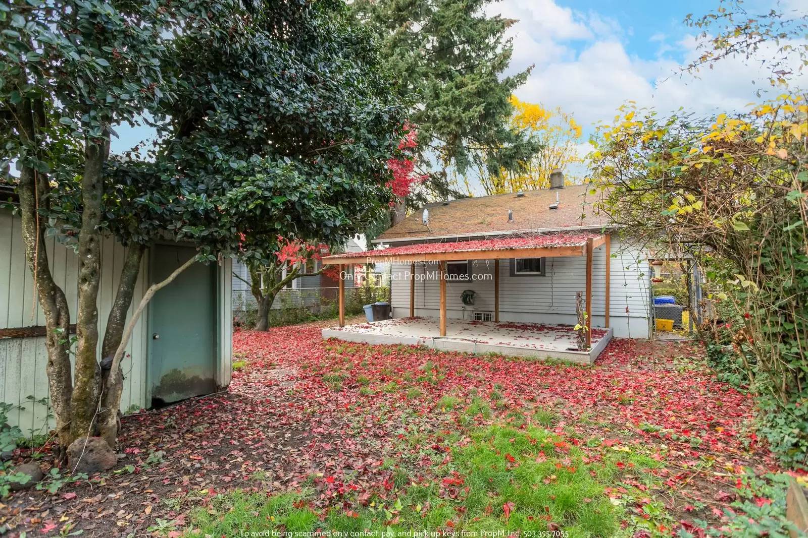 Property Image 32