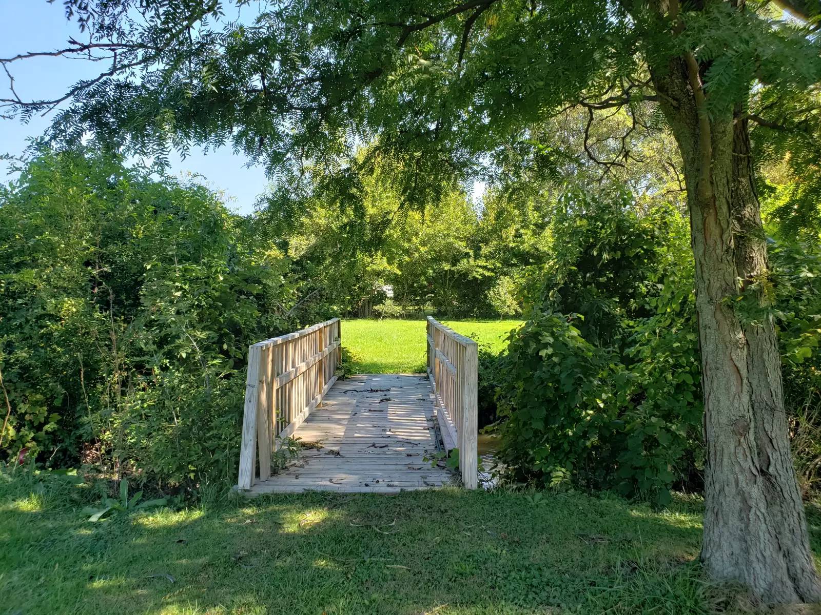 Property Image 5