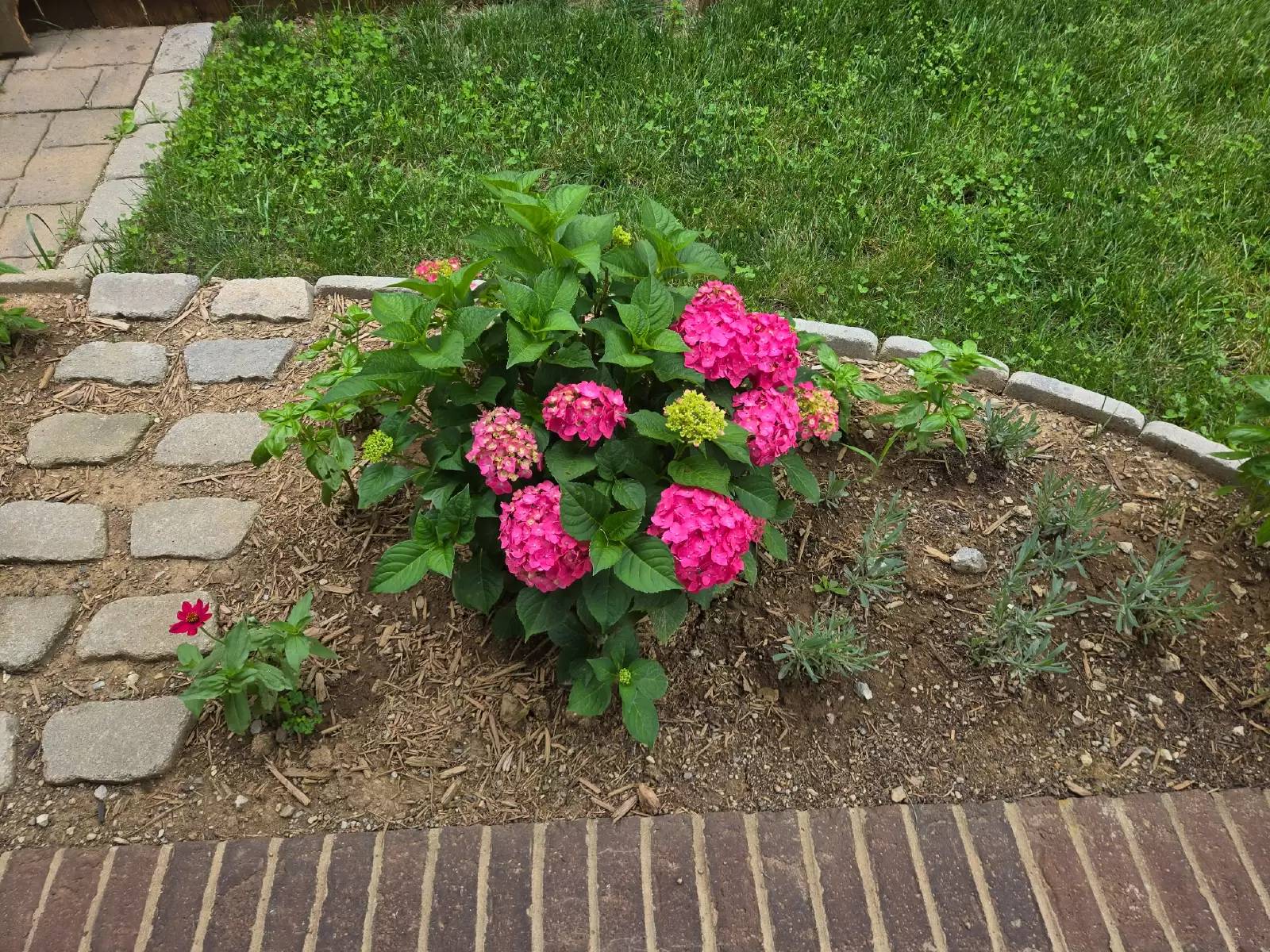 Property Image 41