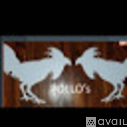 cover background