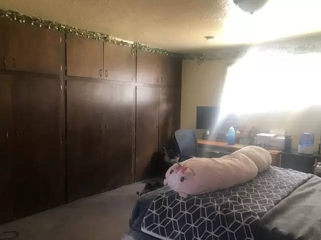 cover background