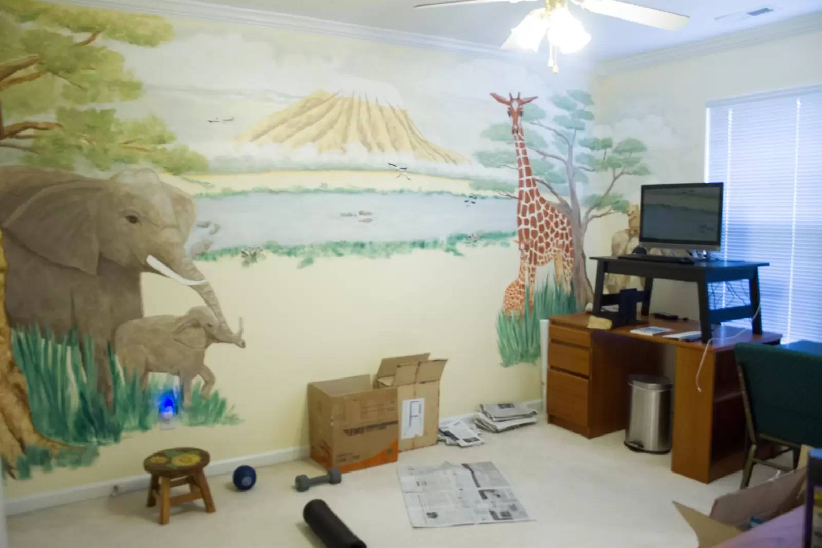 Property Image 11