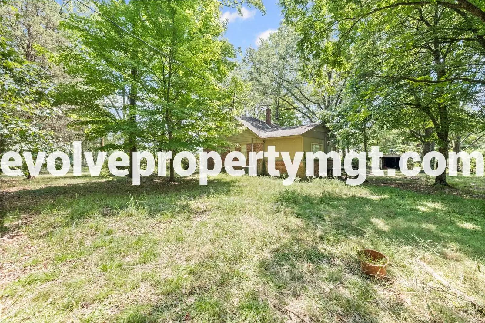 Property Image 27