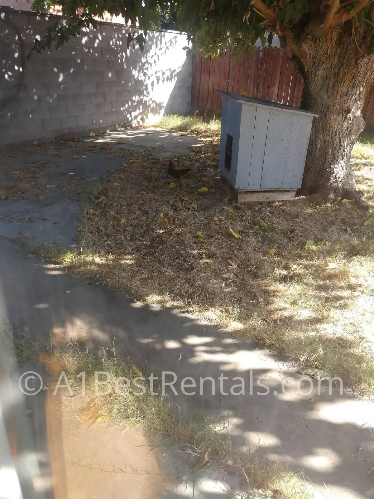 Property Image 12