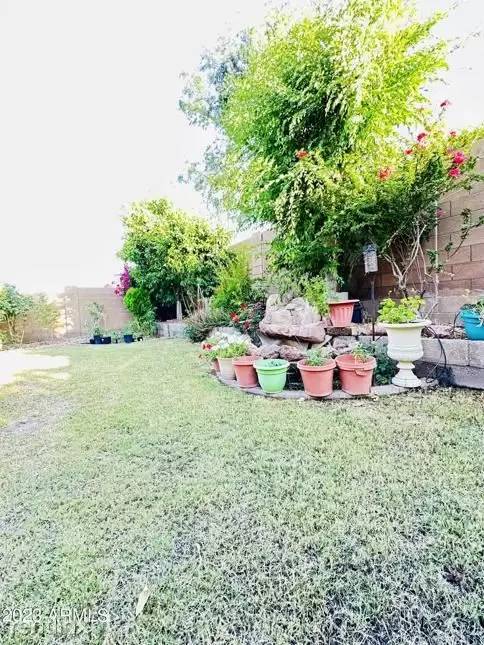 Property Image 62