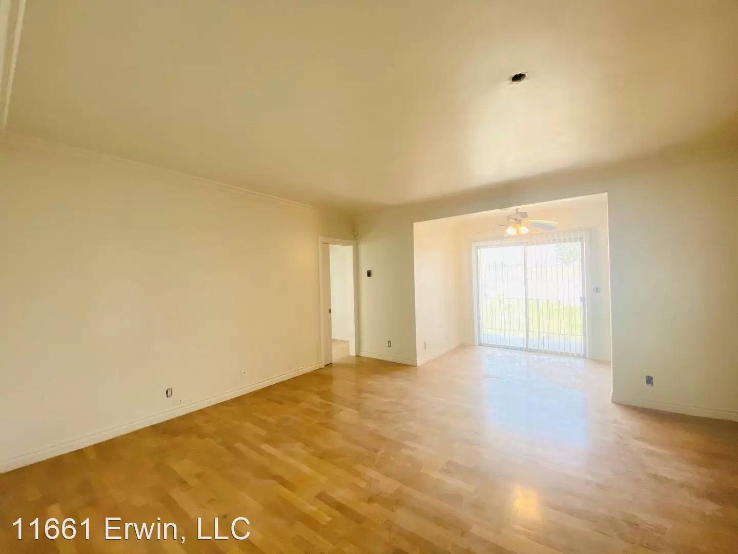 cover background