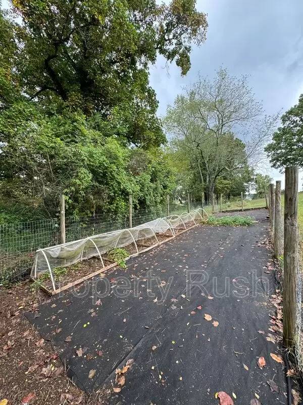 Property Image 81