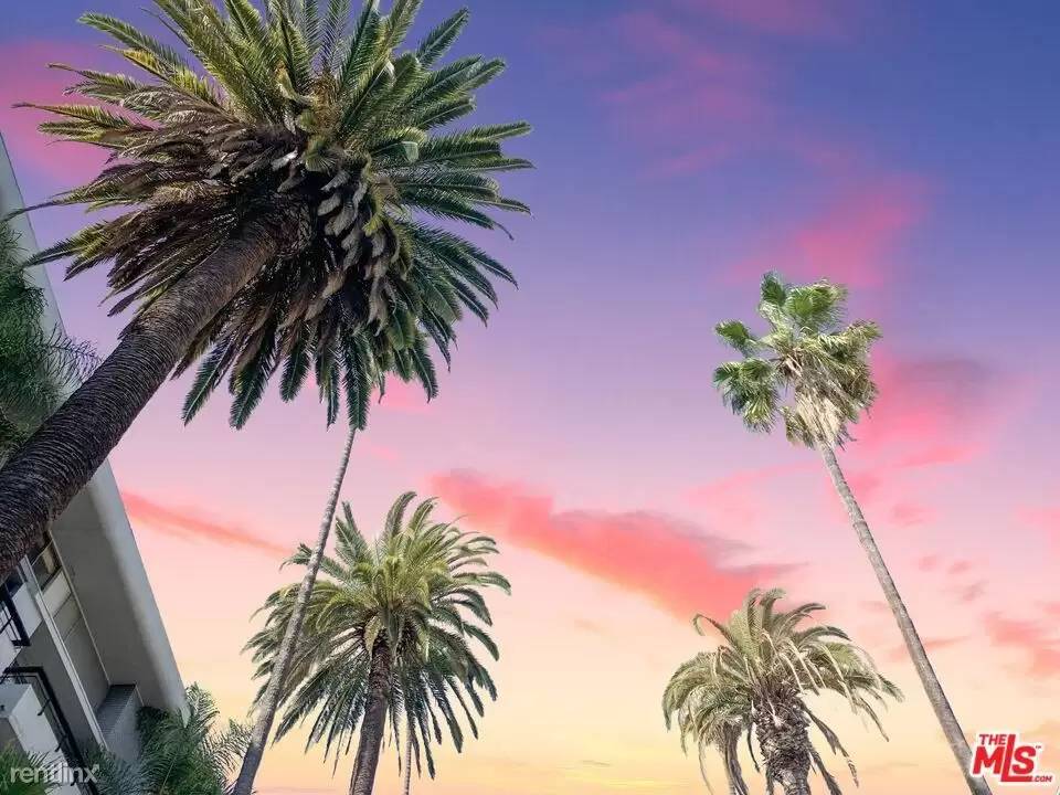 cover background
