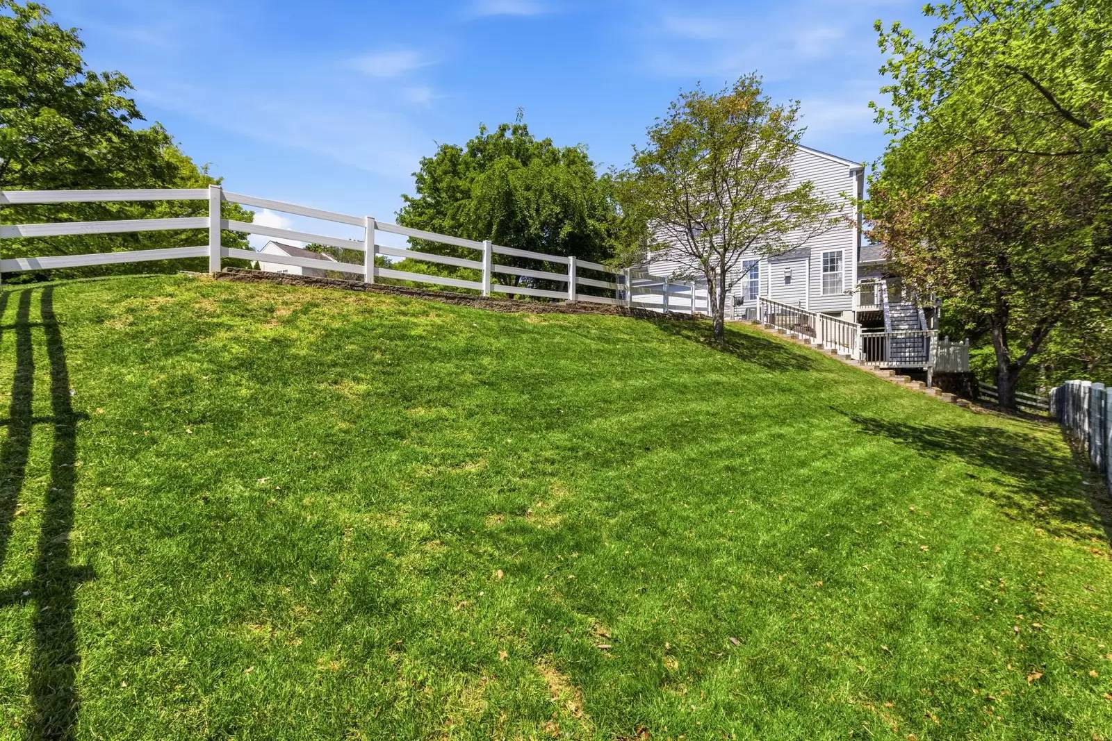 Property Image 59