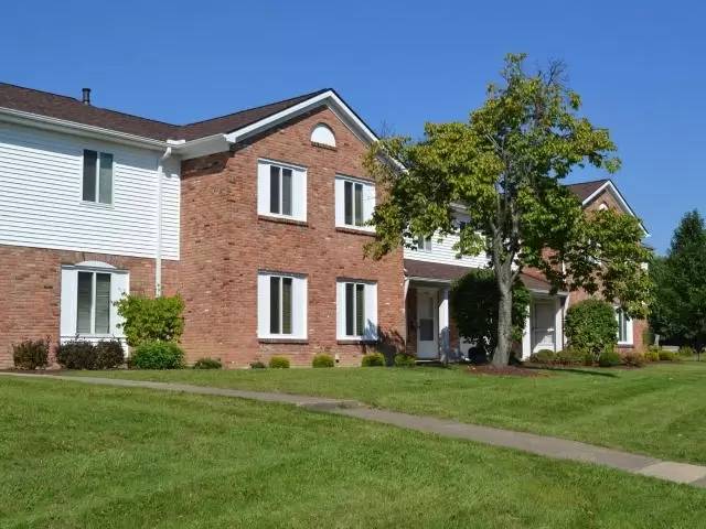 cover background