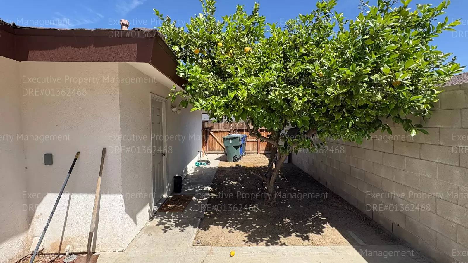 Property Image 40