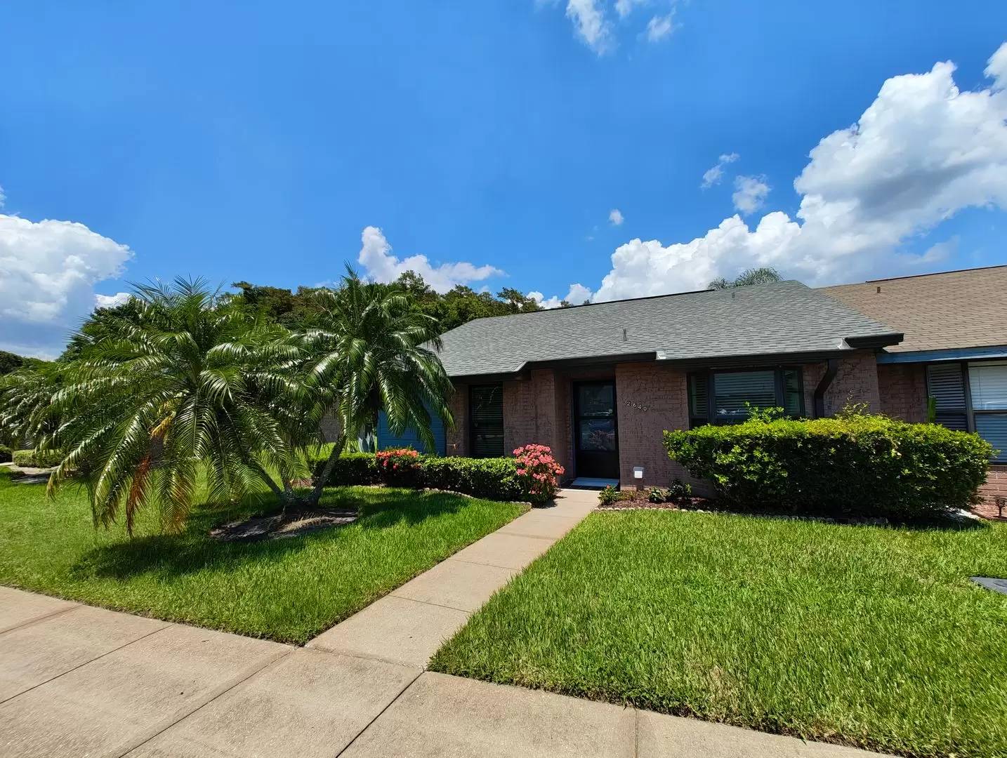 cover background