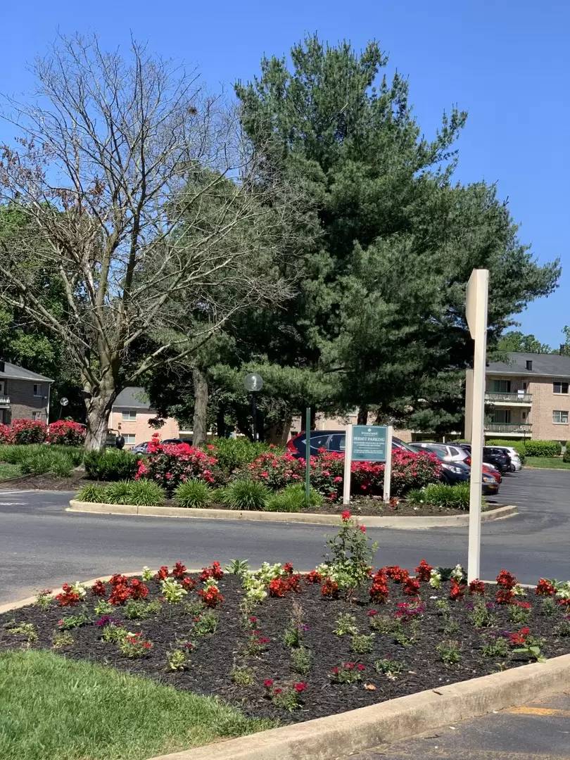 cover background