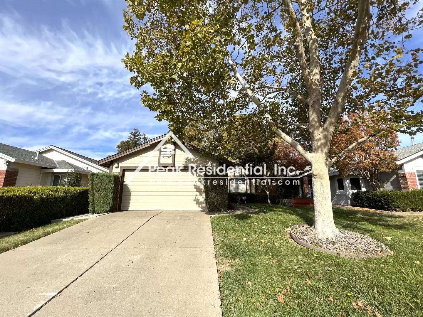 cover background