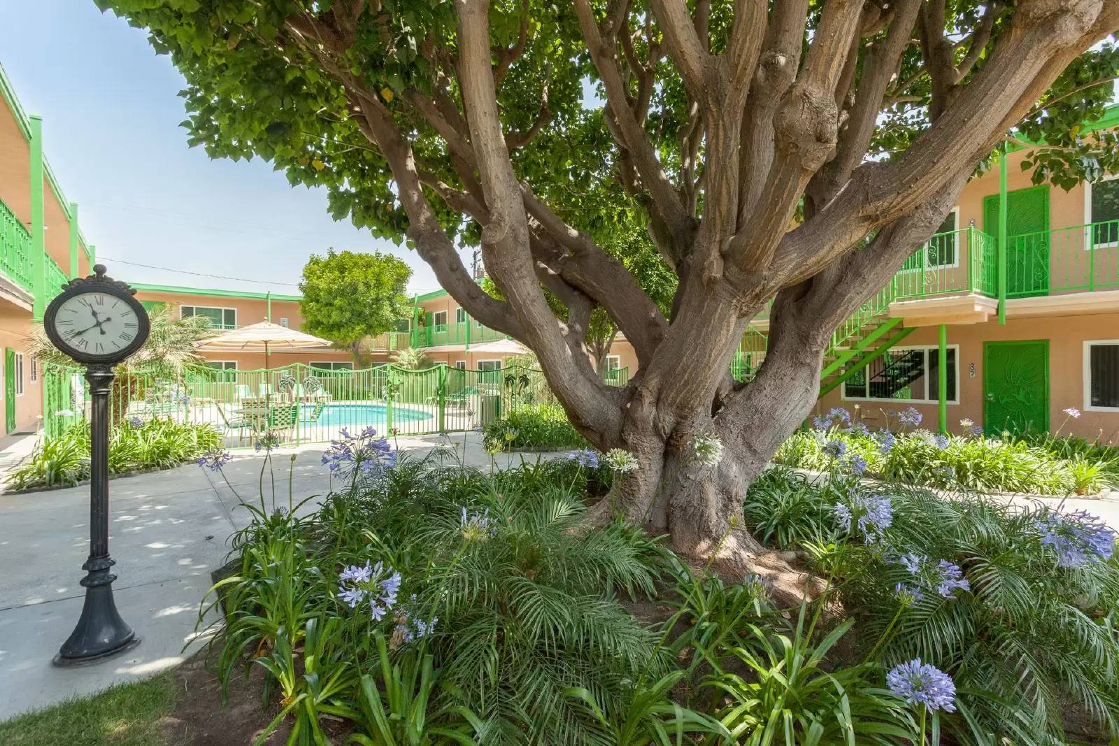 Property Image 9