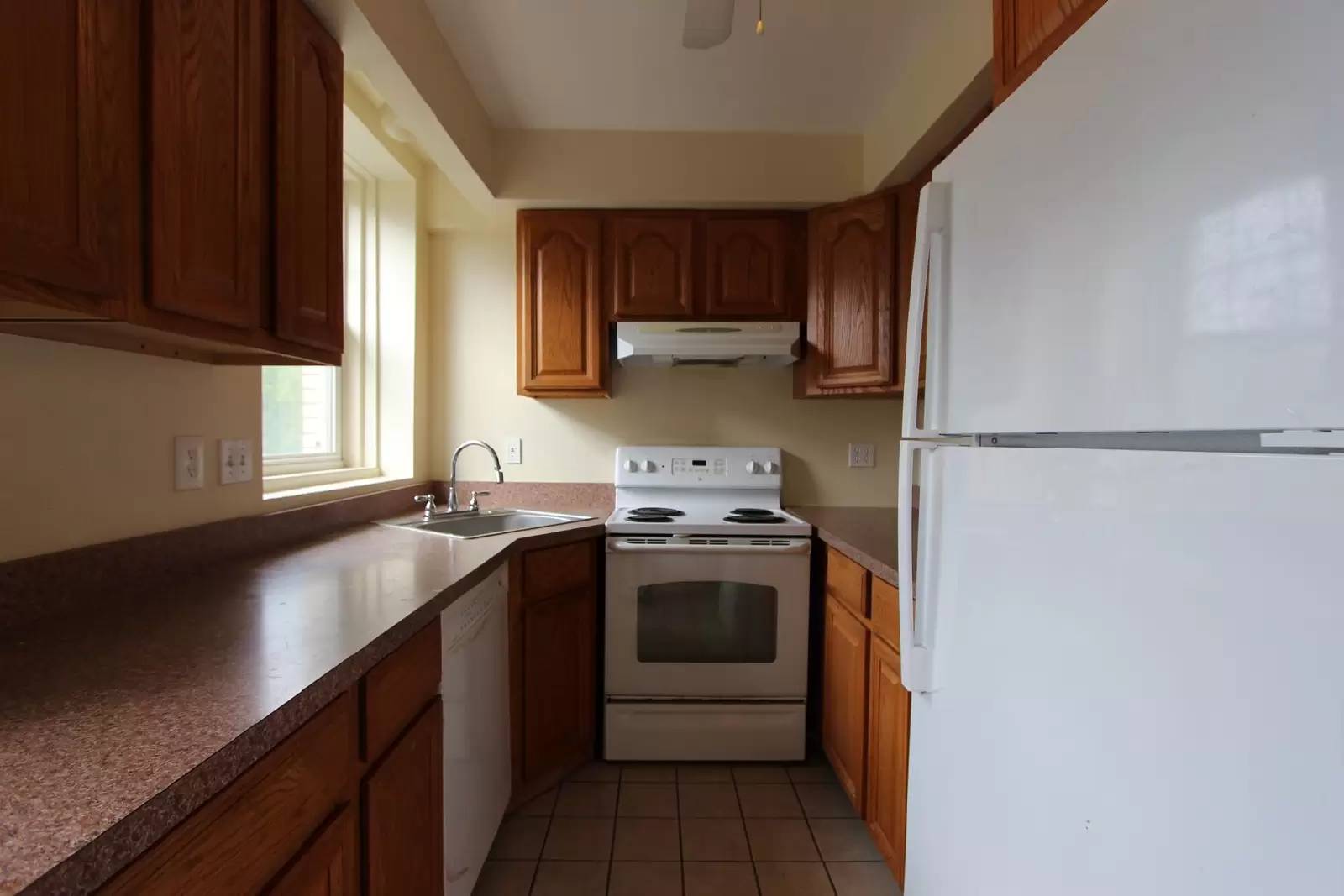 cover background