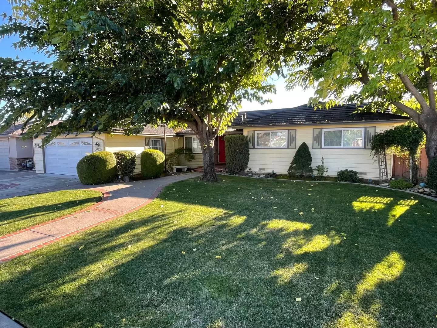 cover background