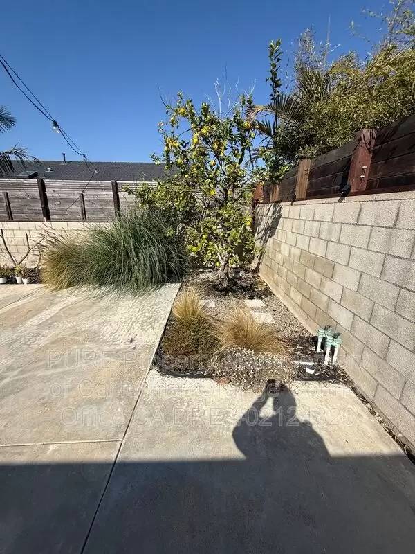 Property Image 50