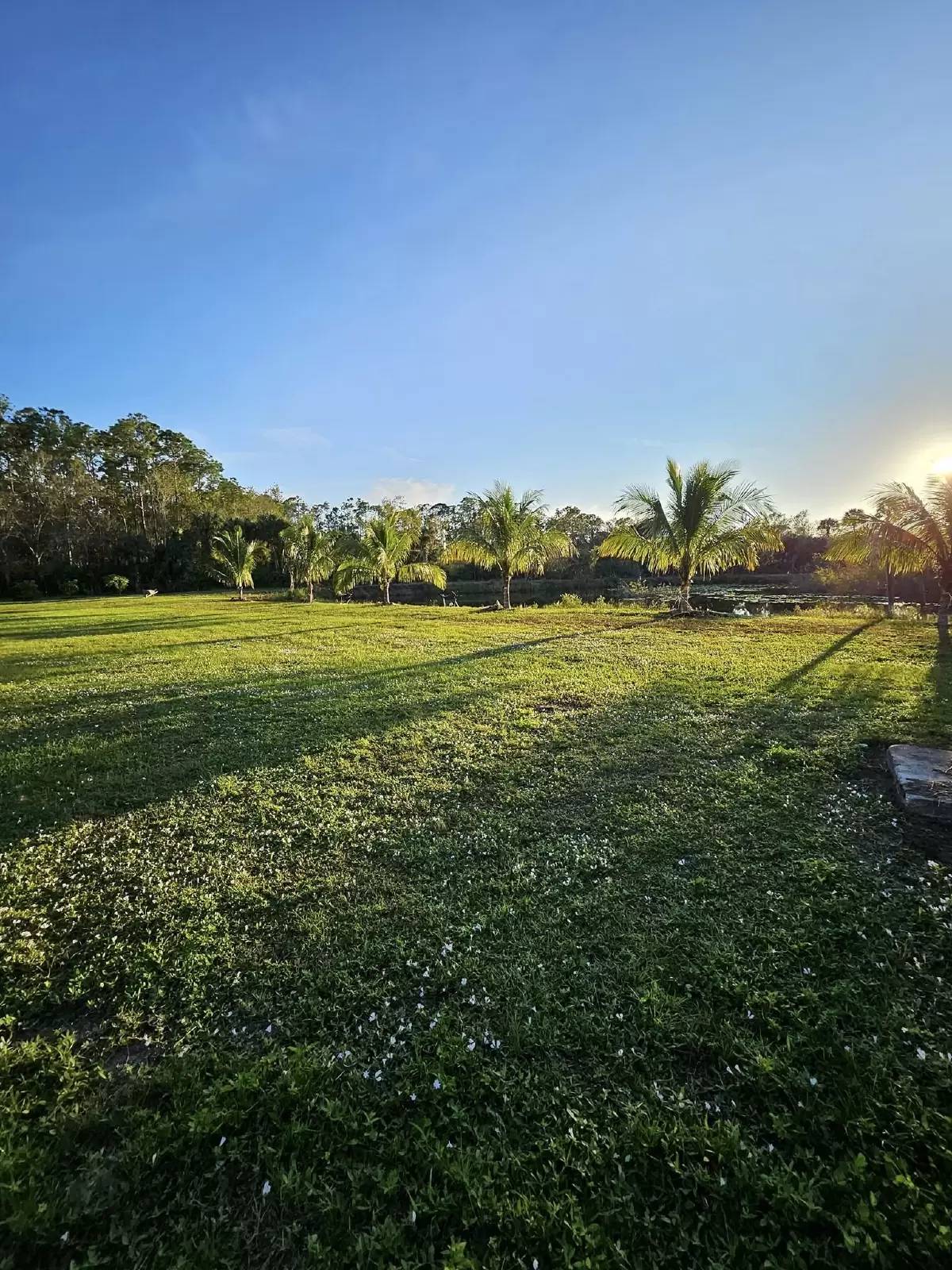Property Image 63
