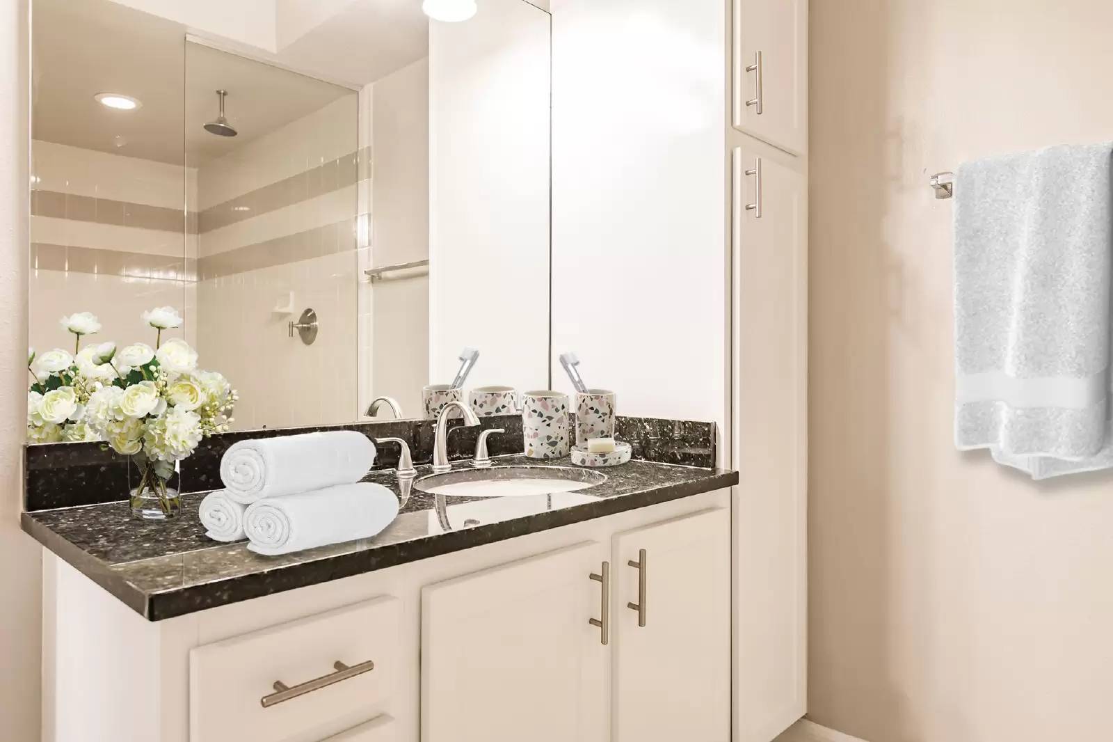 Property Image 100