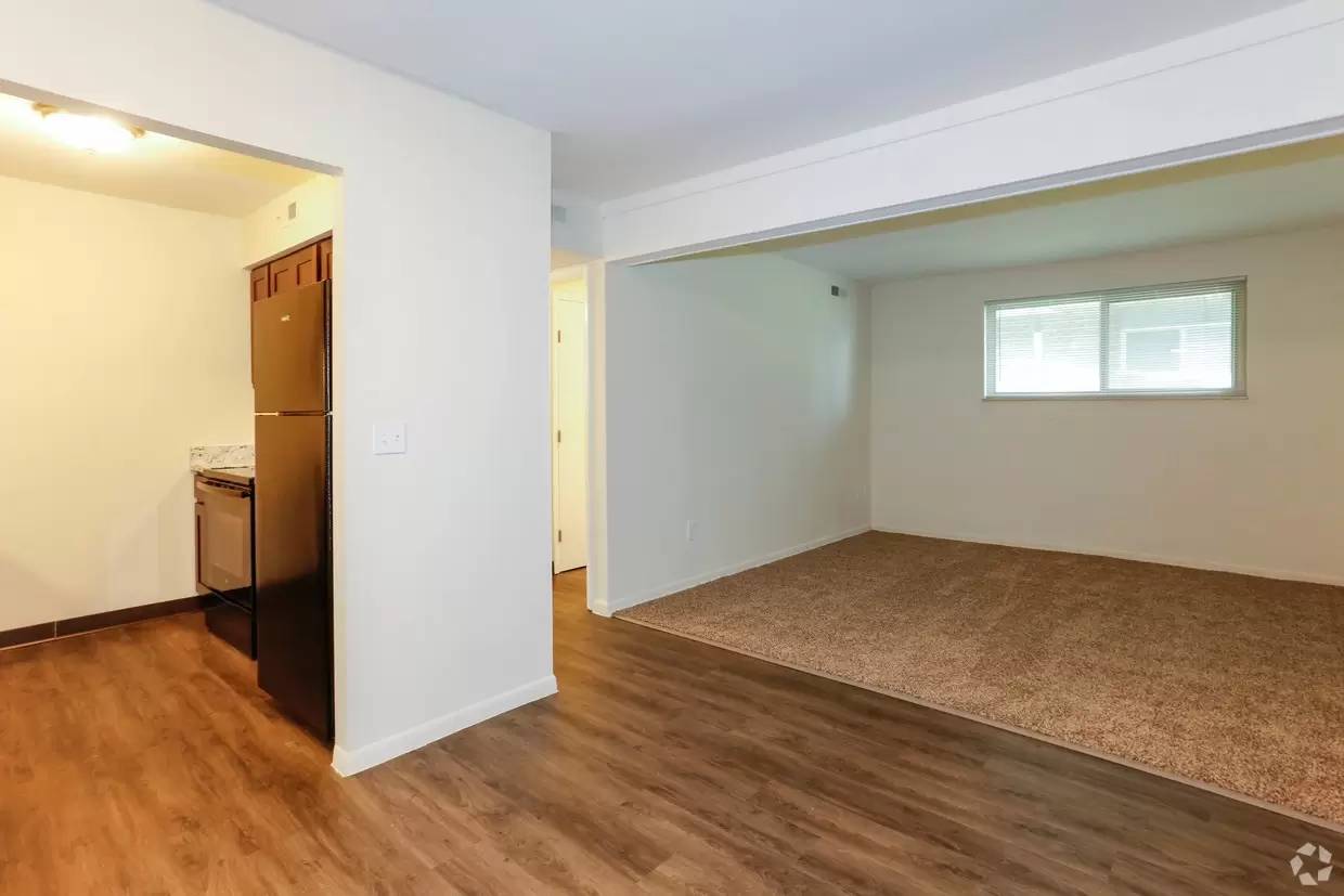 cover background