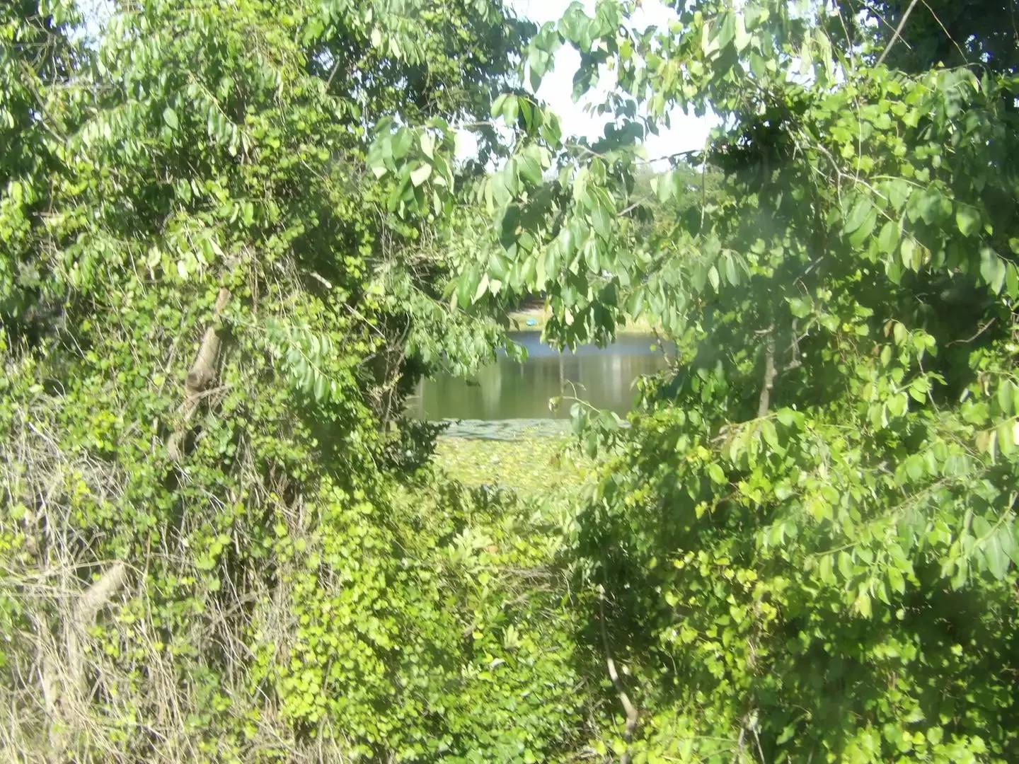 Property Image 22