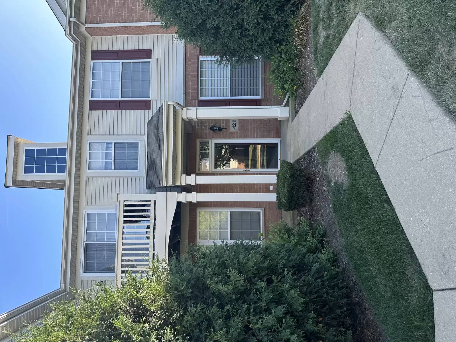 cover background