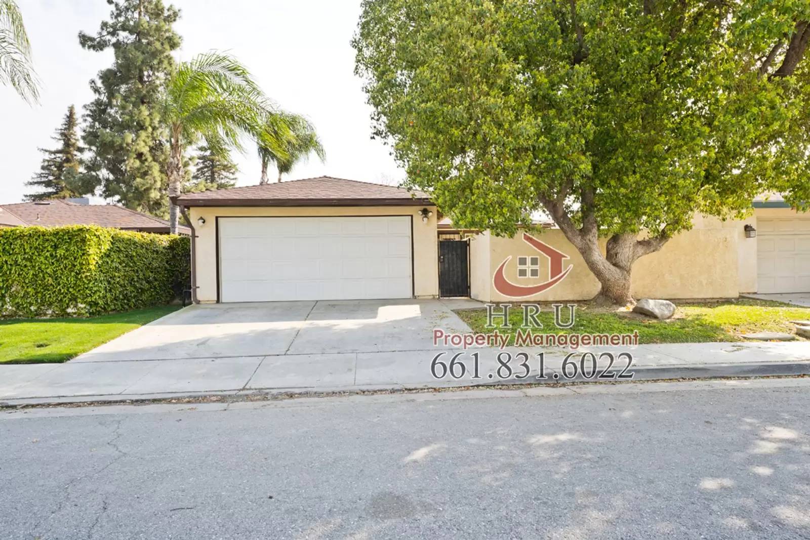 cover background