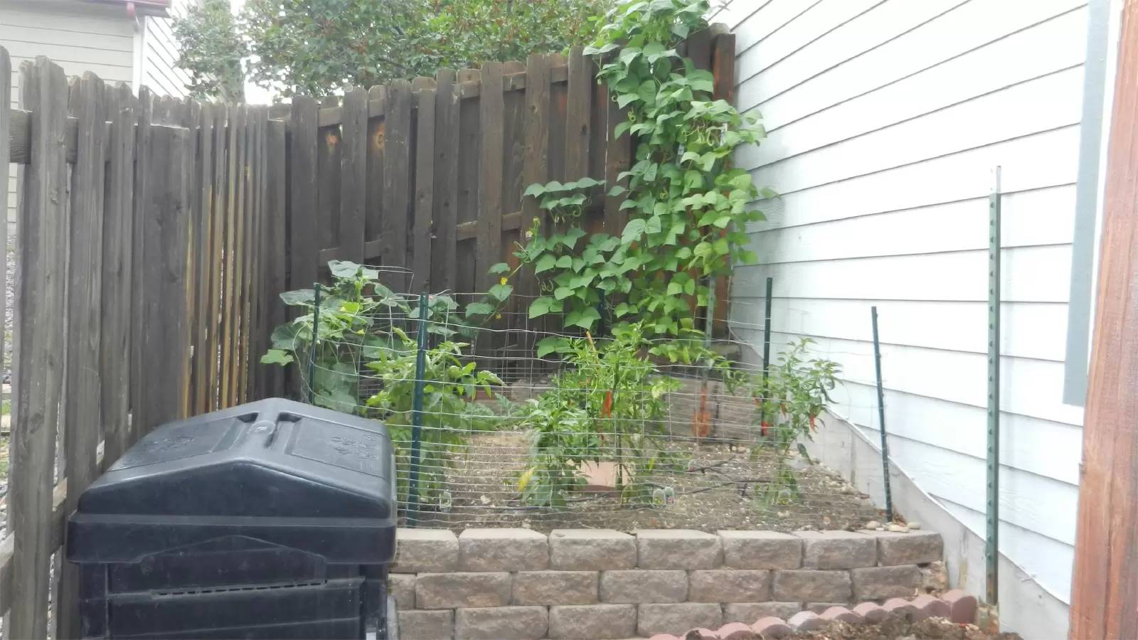 Property Image 40
