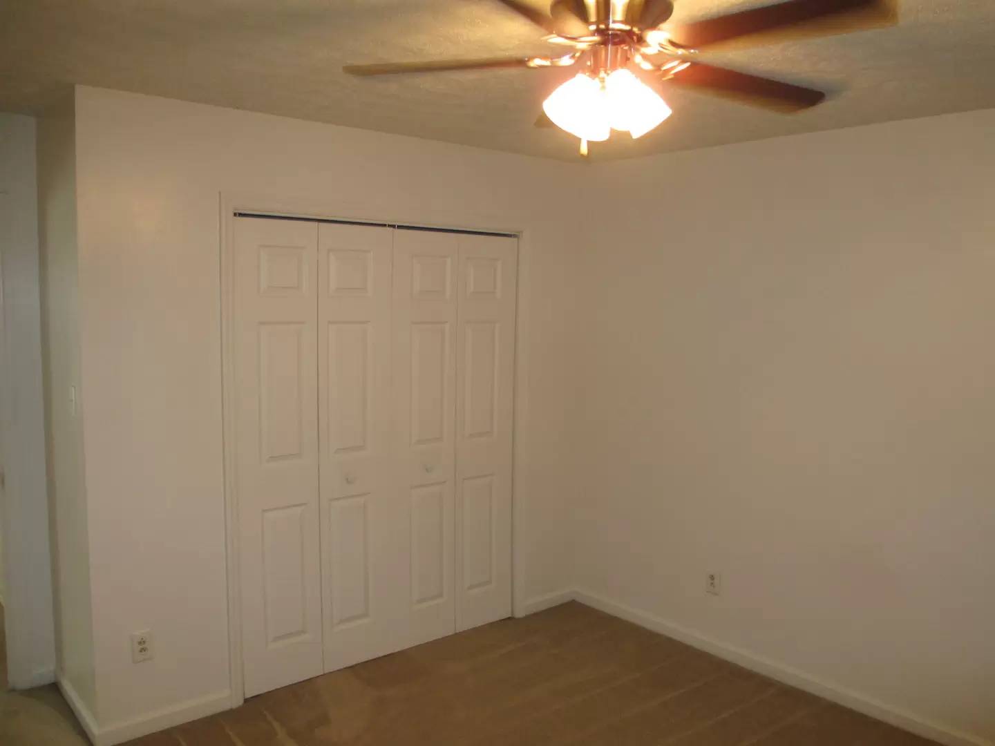 cover background