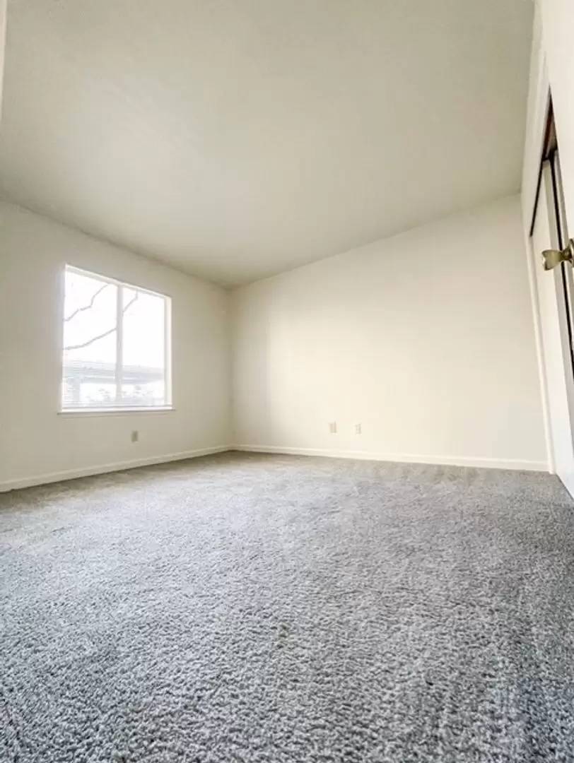 Property Image 105