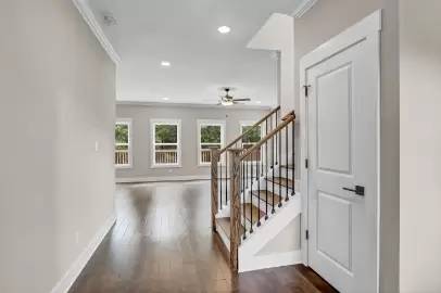 cover background