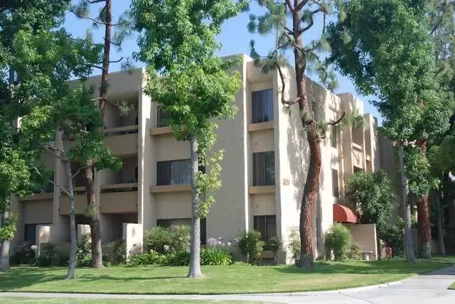 cover background