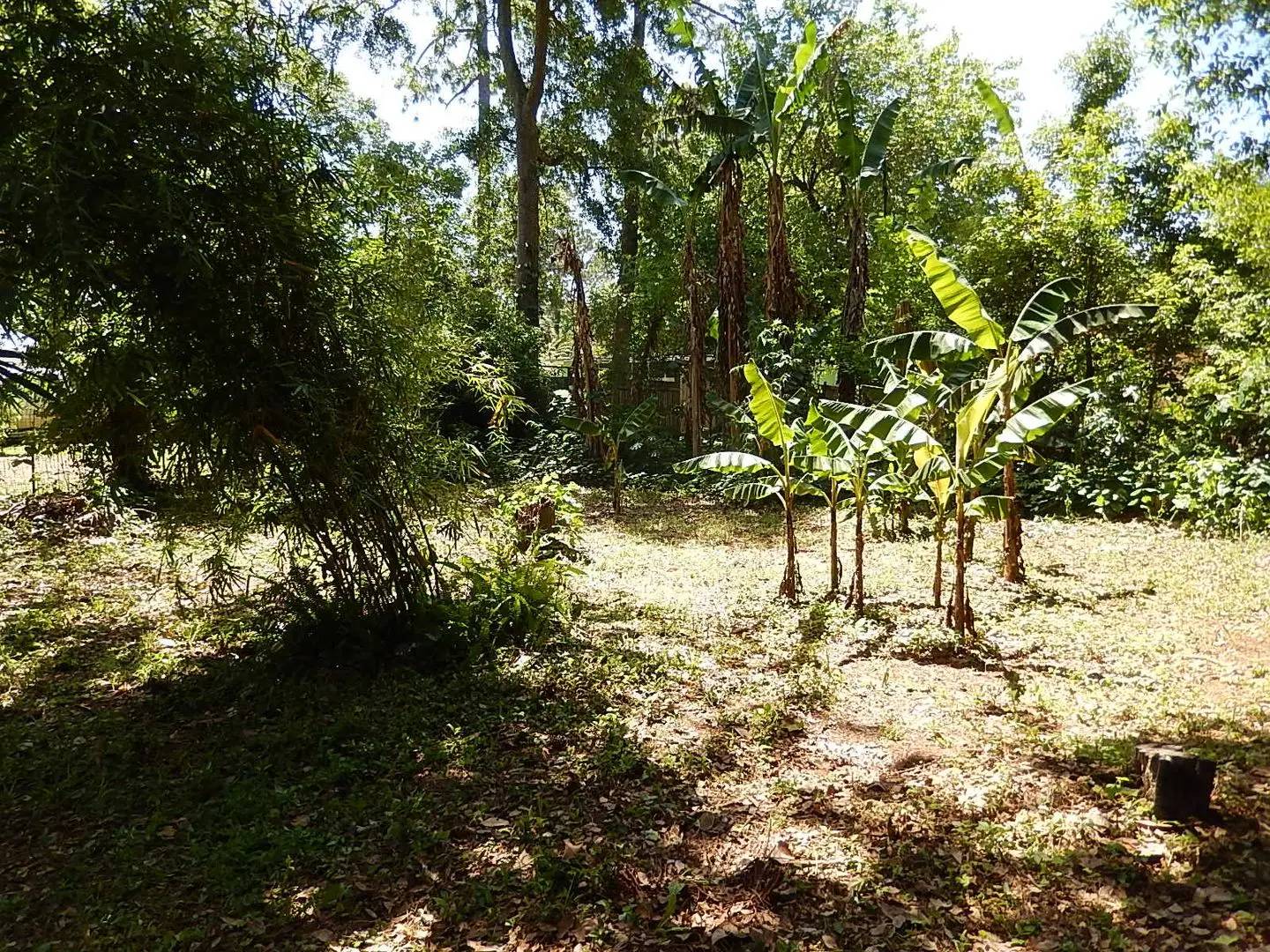 Property Image 44