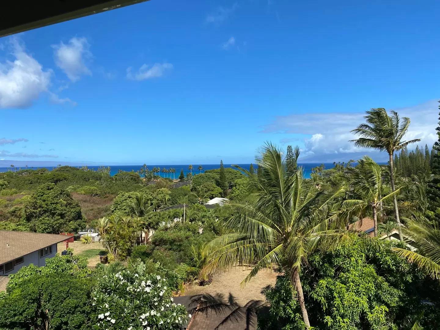 cover background