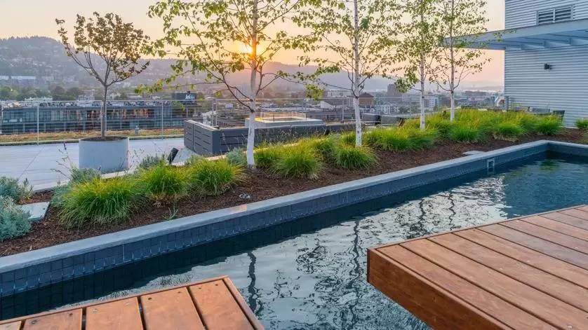 Property Image 67