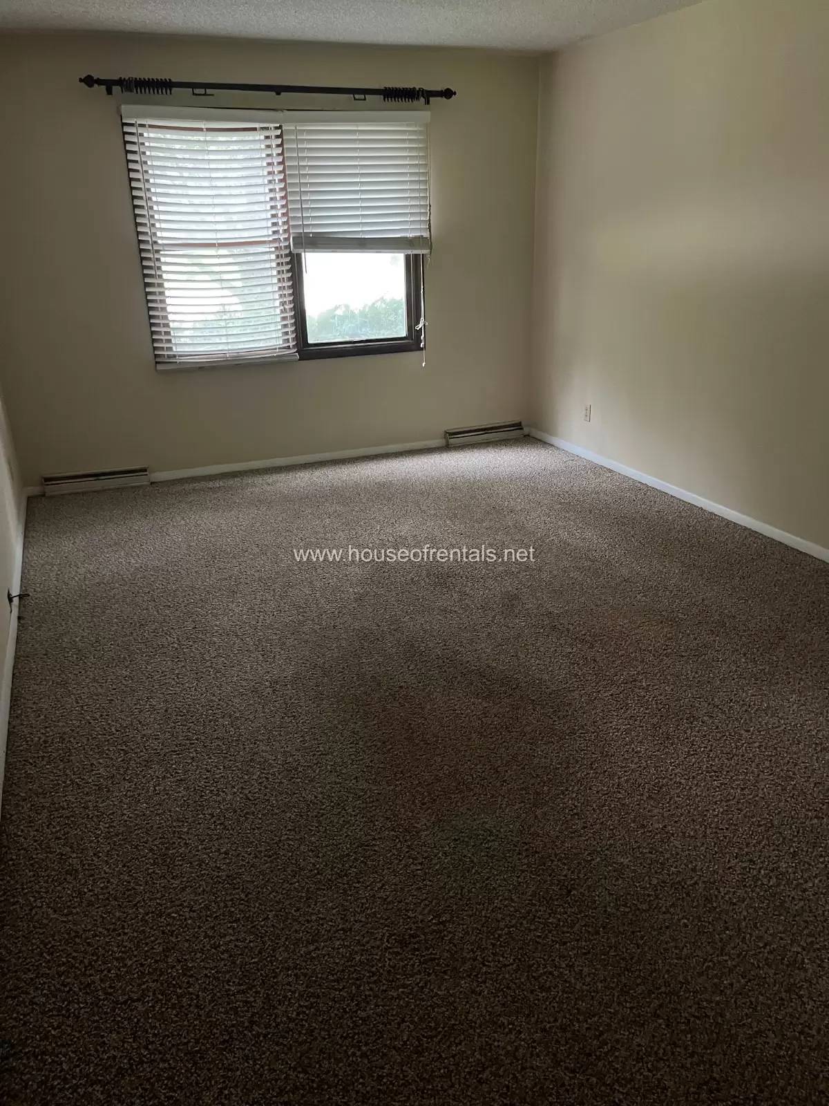 cover background