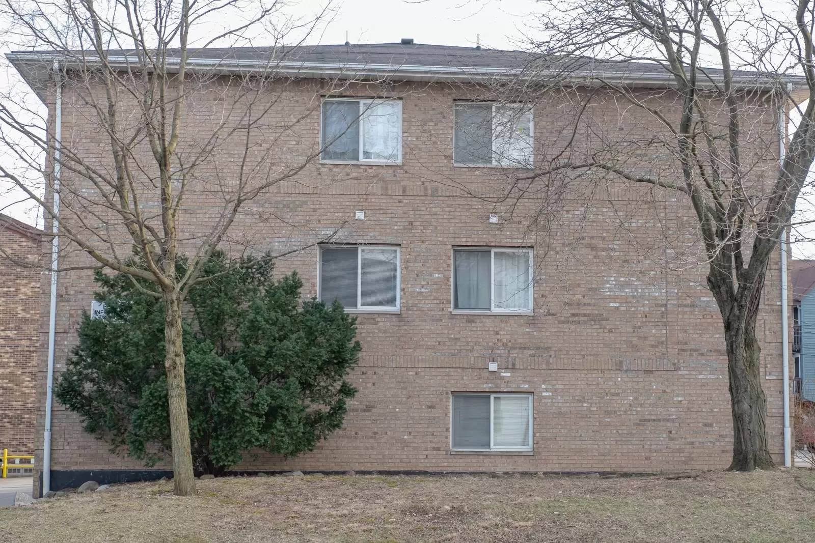 cover background