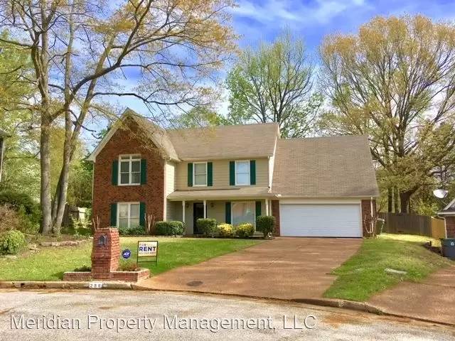 cover background
