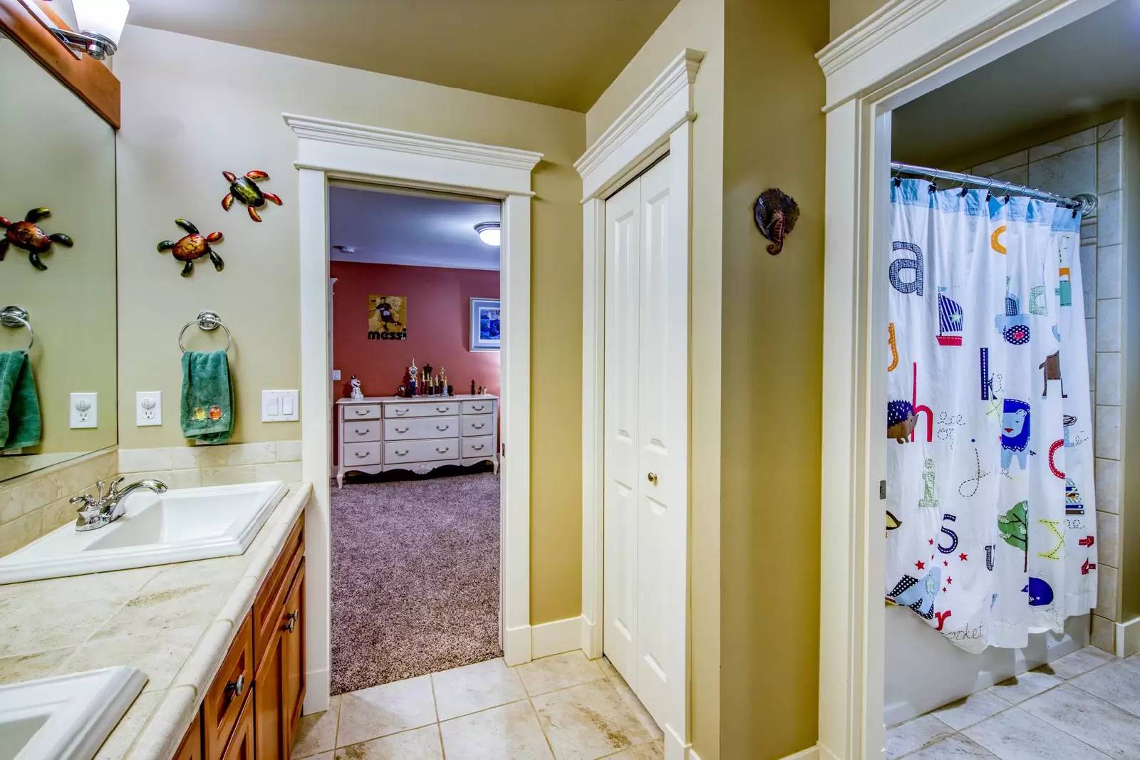 Property Image 43
