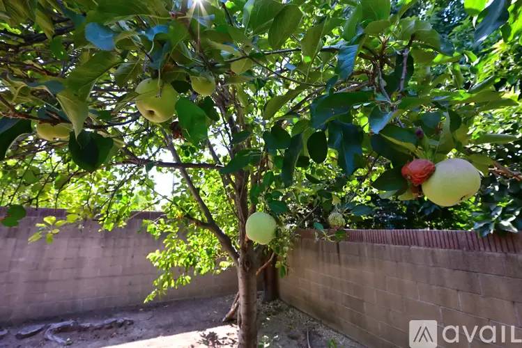 Property Image 76