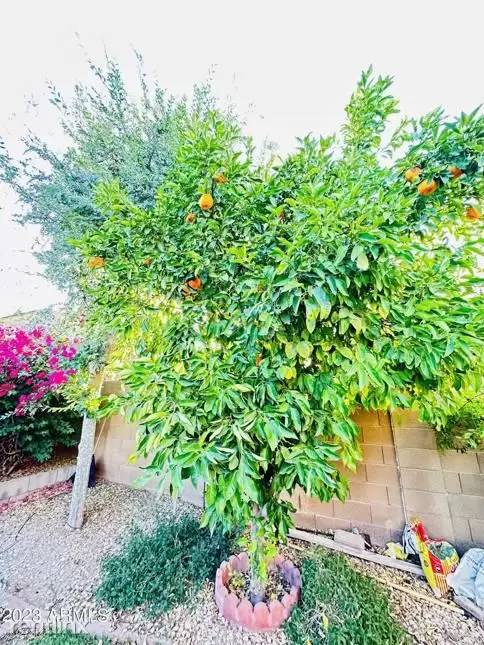 Property Image 50