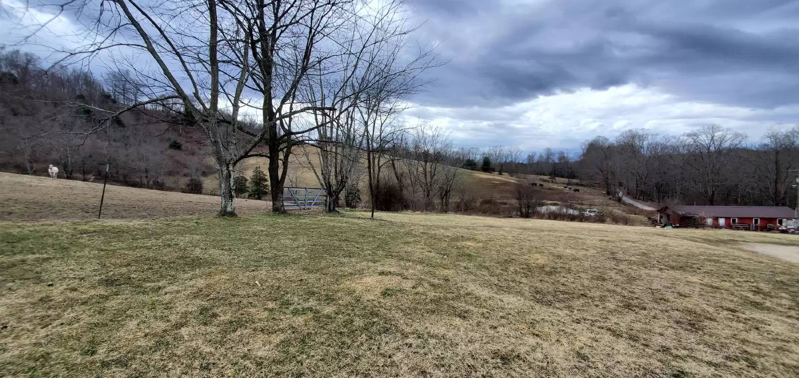 Property Image 5