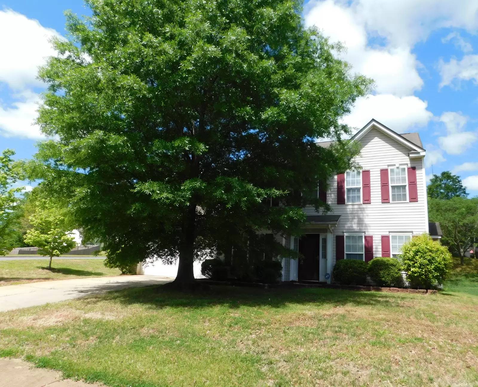 cover background