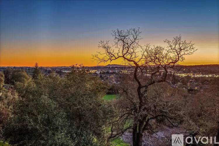 Property Image 67