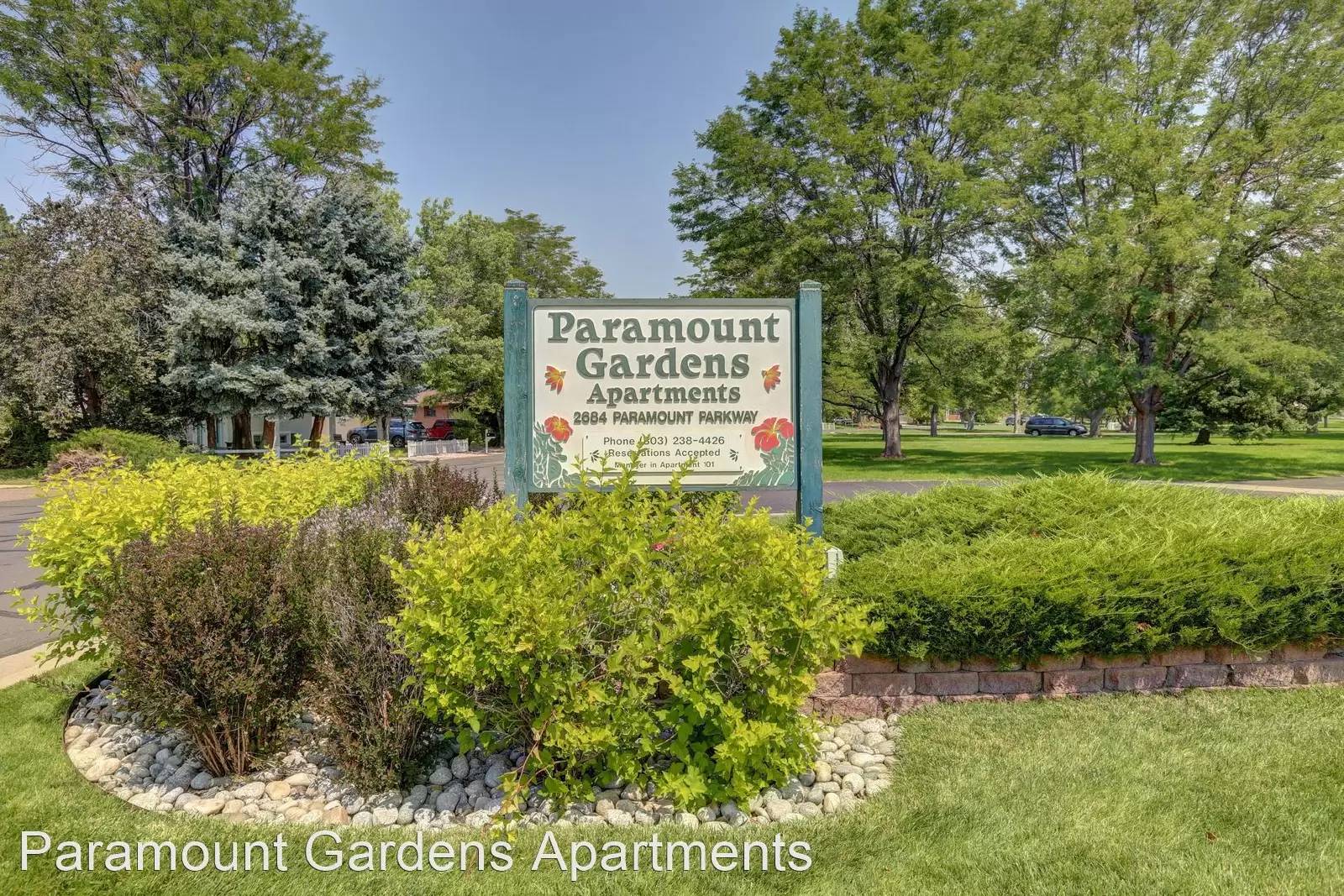 cover background
